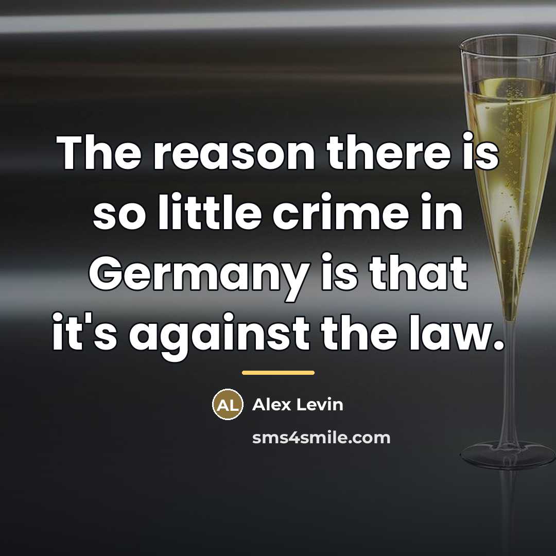 “The reason there is so little crime in Germany is…” quote by Alex Levin
