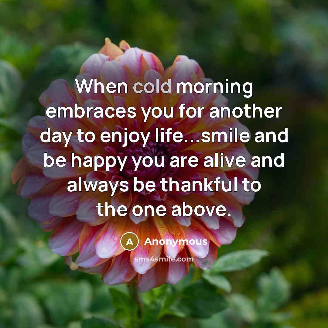 “When cold morning embraces you for another day to enjoy…” quote by Anonymous