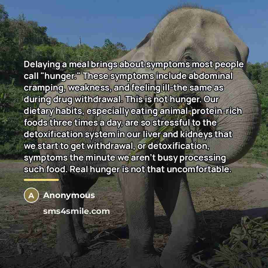 “Delaying a meal brings about symptoms most people call "hunger."…” quote by Anonymous
