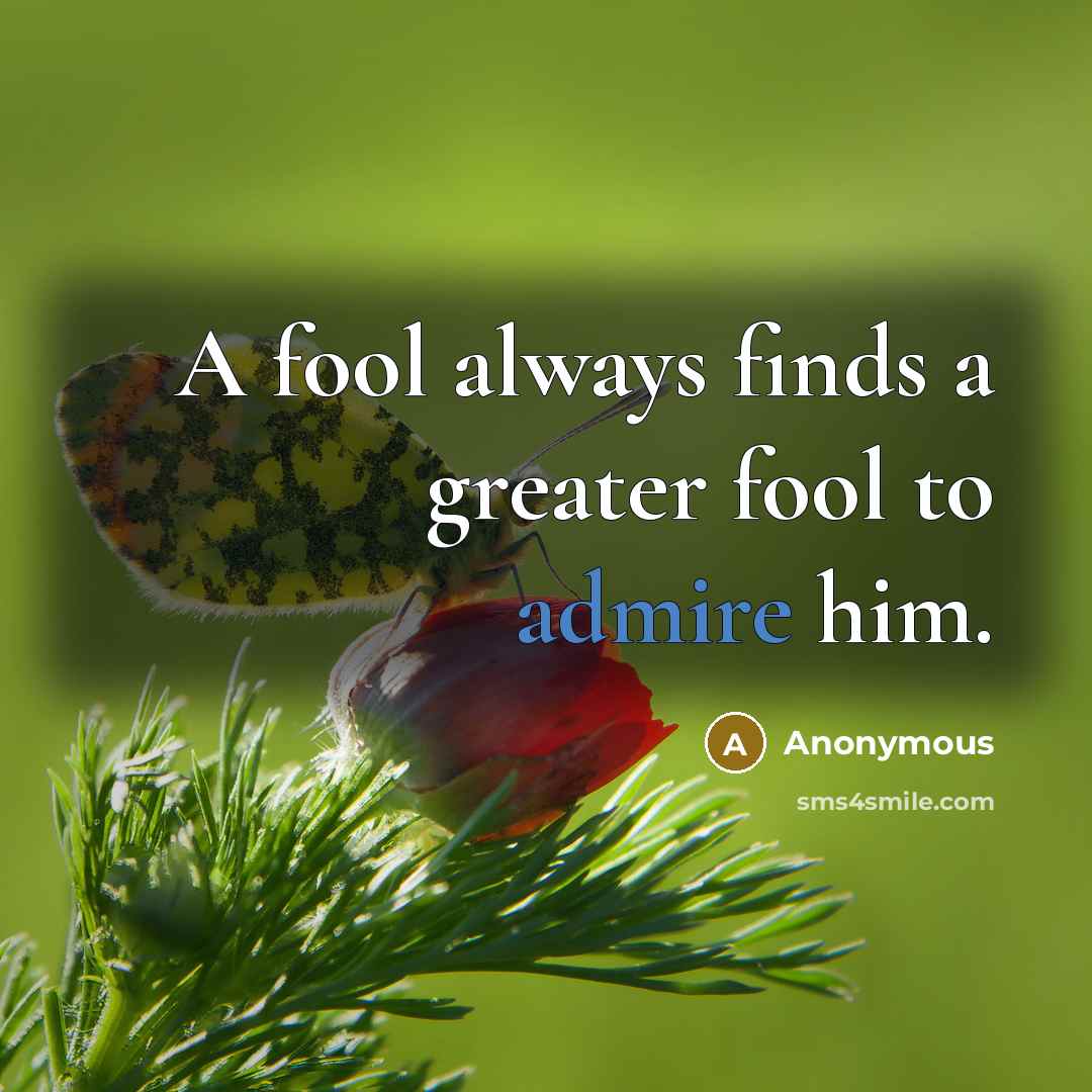 “A fool always finds a greater fool to admire him.…” quote by Anonymous