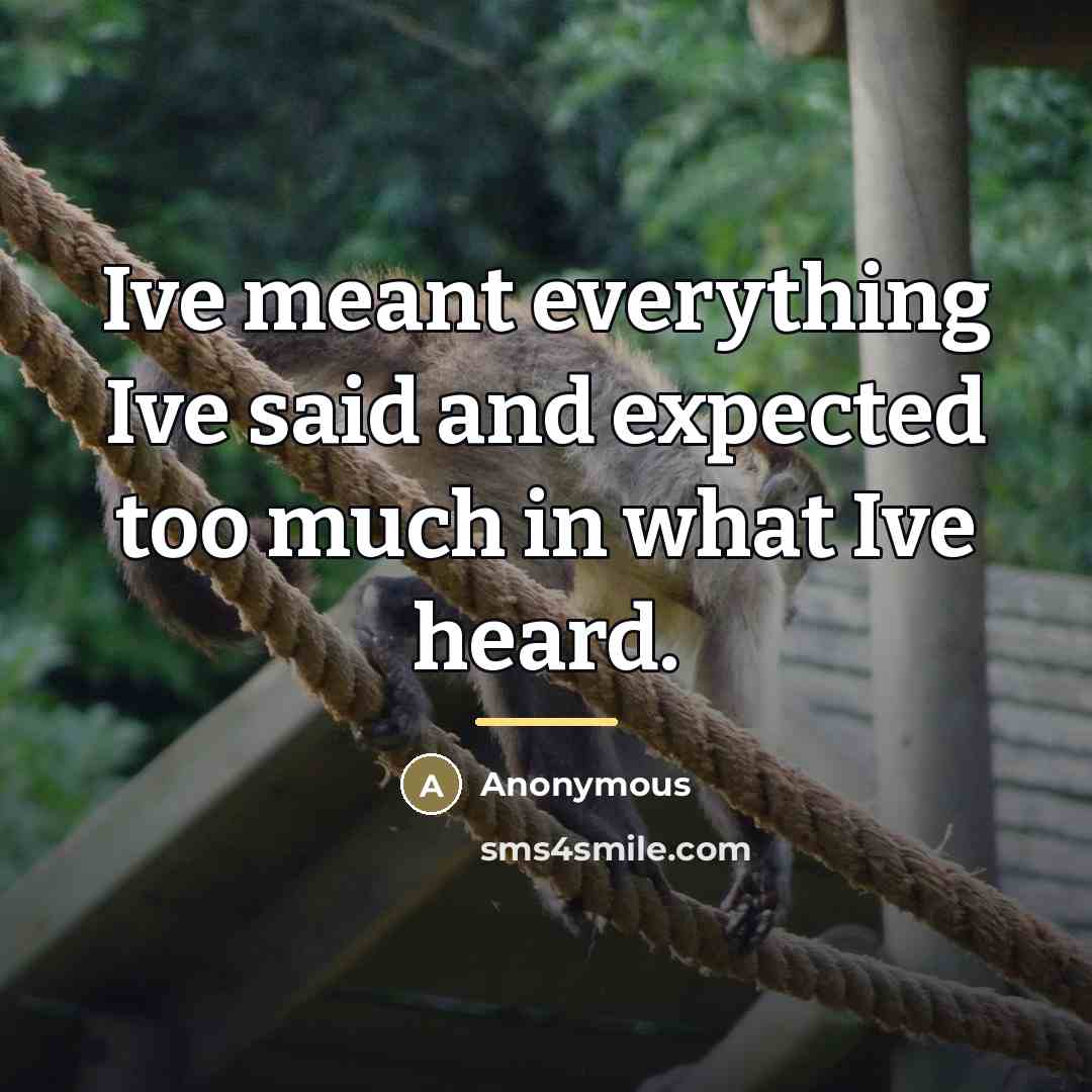 “Ive meant everything Ive said and expected too much in…” quote by Anonymous