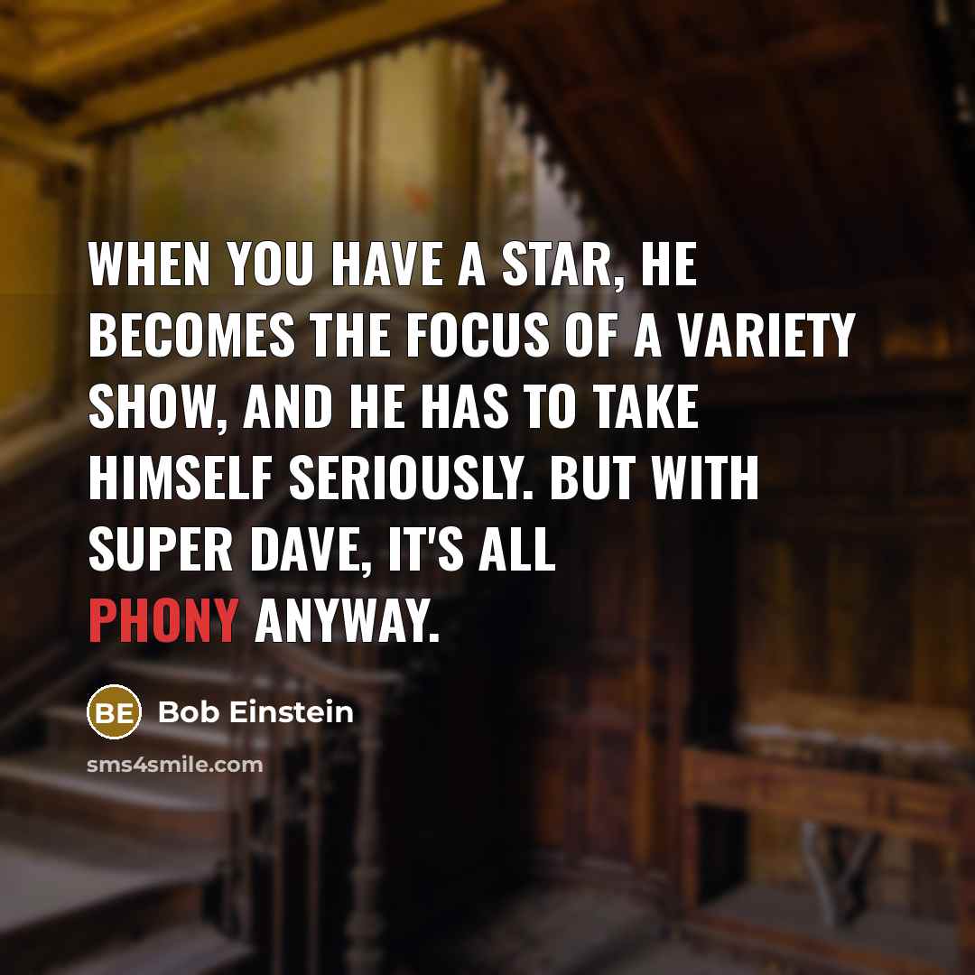 “When you have a star, he becomes the focus of…” quote by Bob Einstein