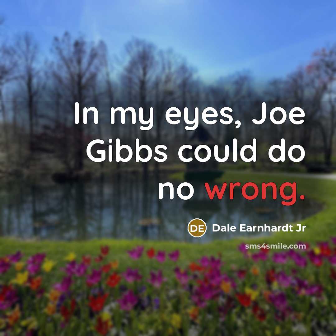 “In my eyes, Joe Gibbs could do no wrong.…” quote by Dale Earnhardt Jr