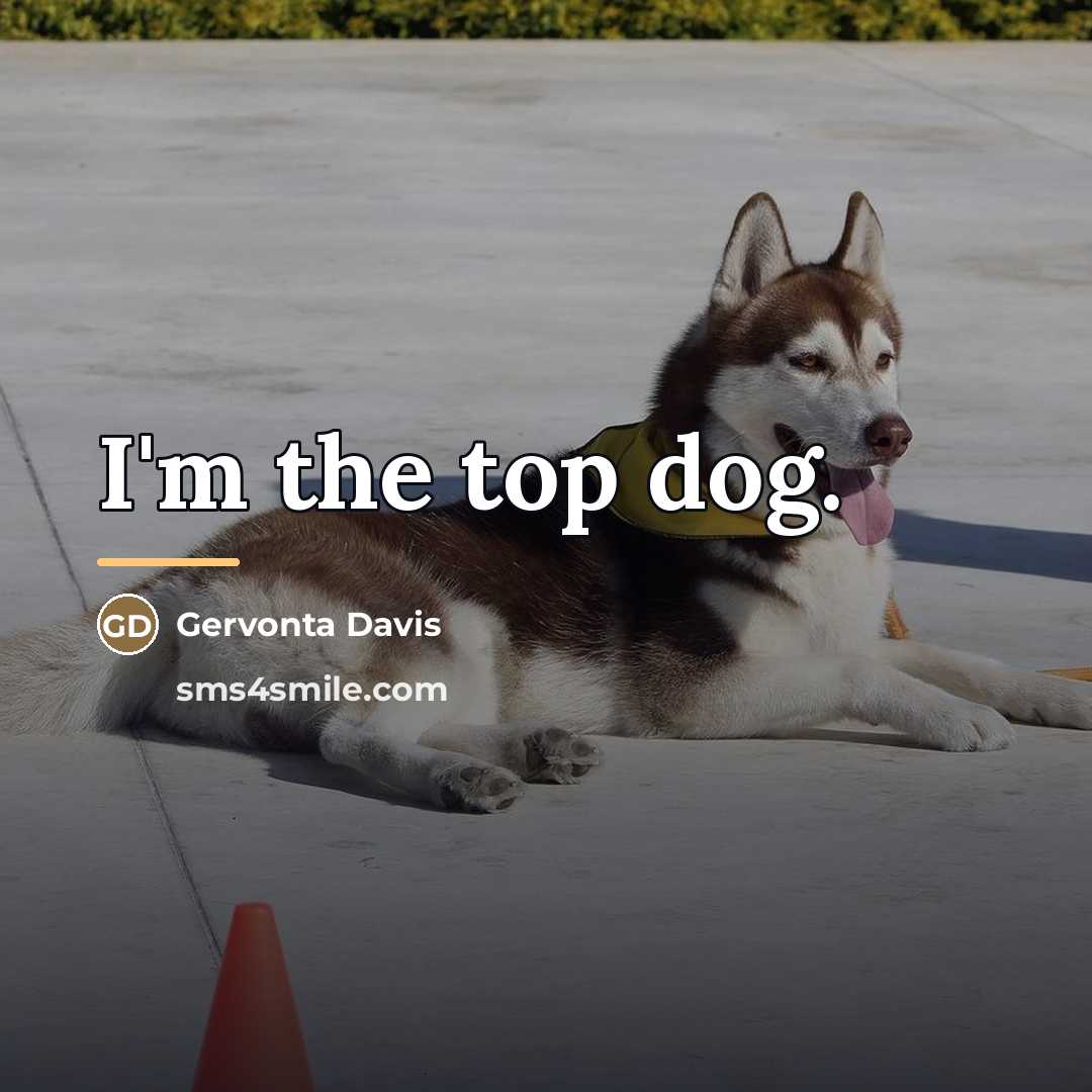 “I'm the top dog.…” quote by Gervonta Davis