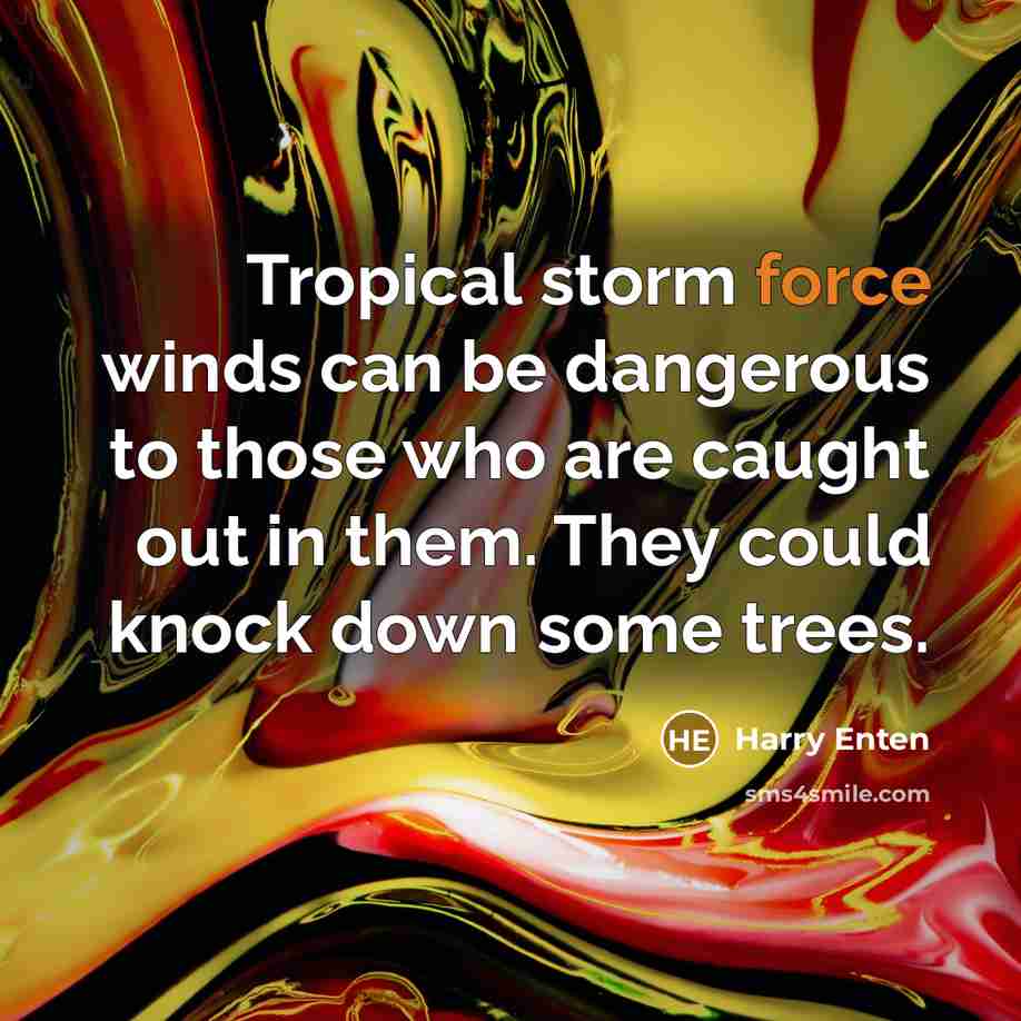 “Tropical storm force winds can be dangerous to those who…” quote by Harry Enten