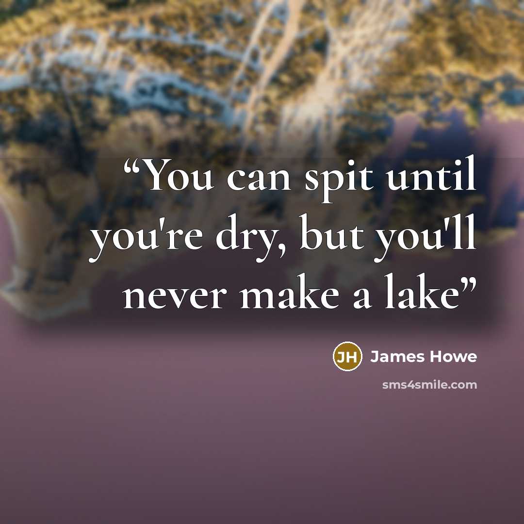 “You can spit until you're dry, but you'll never make a lake” quote by James Howe