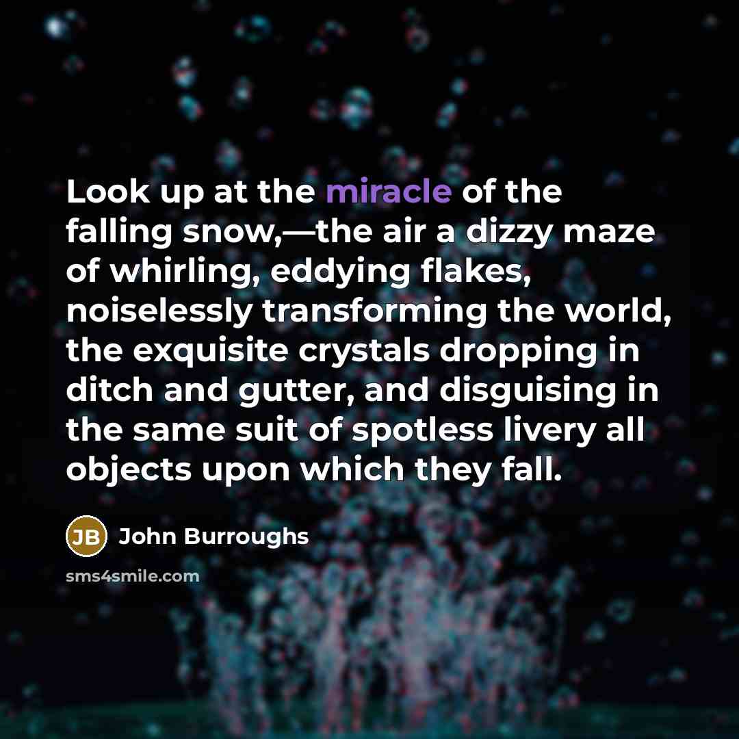 “Look up at the miracle of the falling snow,—the air…” quote by John Burroughs