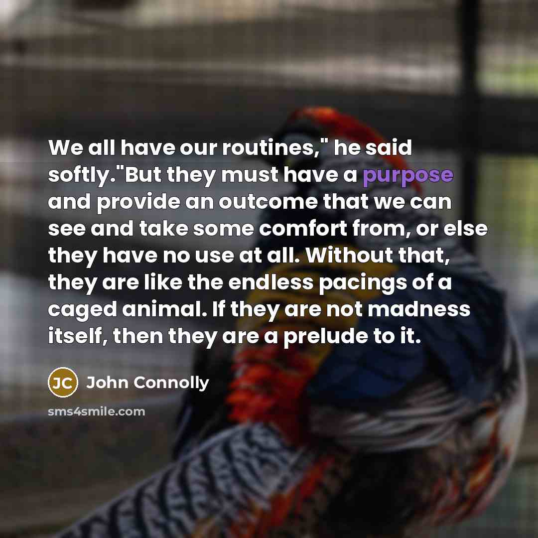 “We all have our routines," he said softly."But they must…” quote by John Connolly