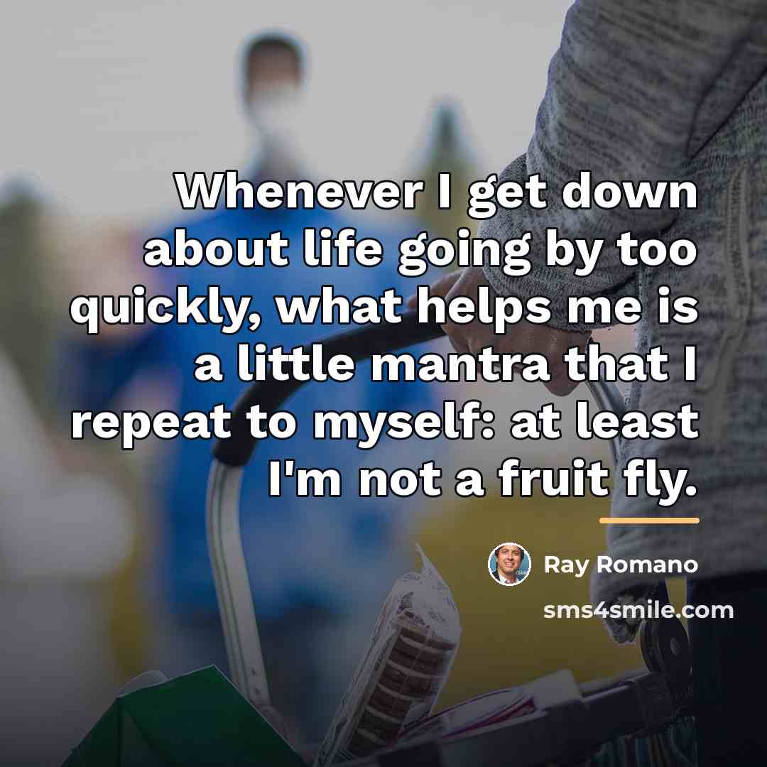 “Whenever I get down about life going by too quickly,…” quote by Ray Romano