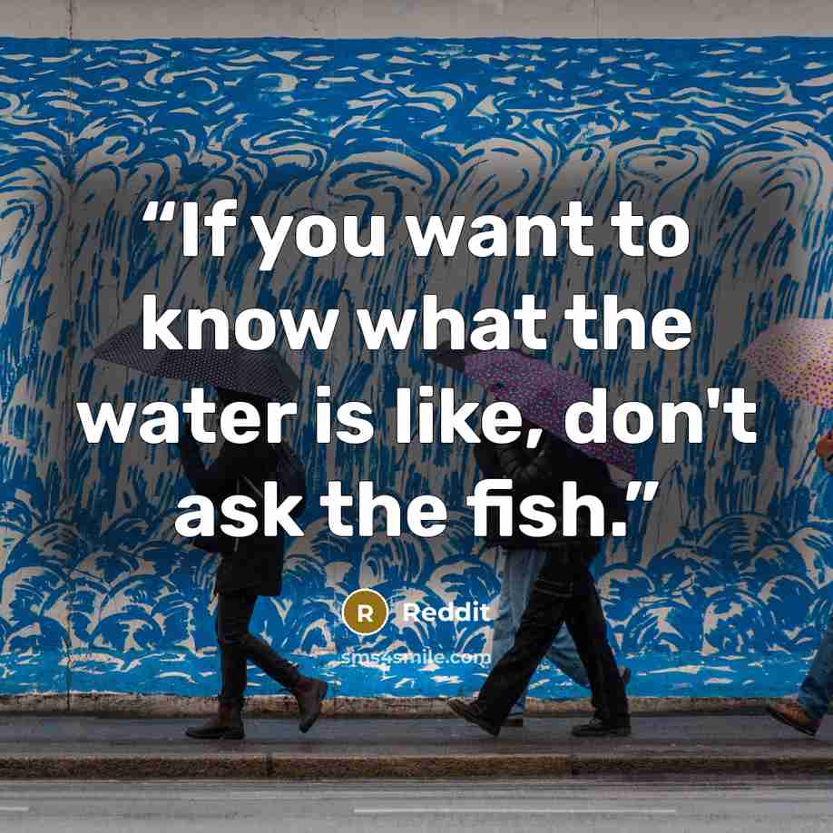 “If you want to know what the water is like, don't ask the fish.” quote by Reddit