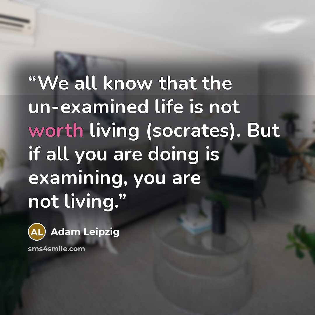 “We all know that the un-examined life is not worth living (socrates). But if all you are doing is examining, you are not living.” quote by Adam Leipzig