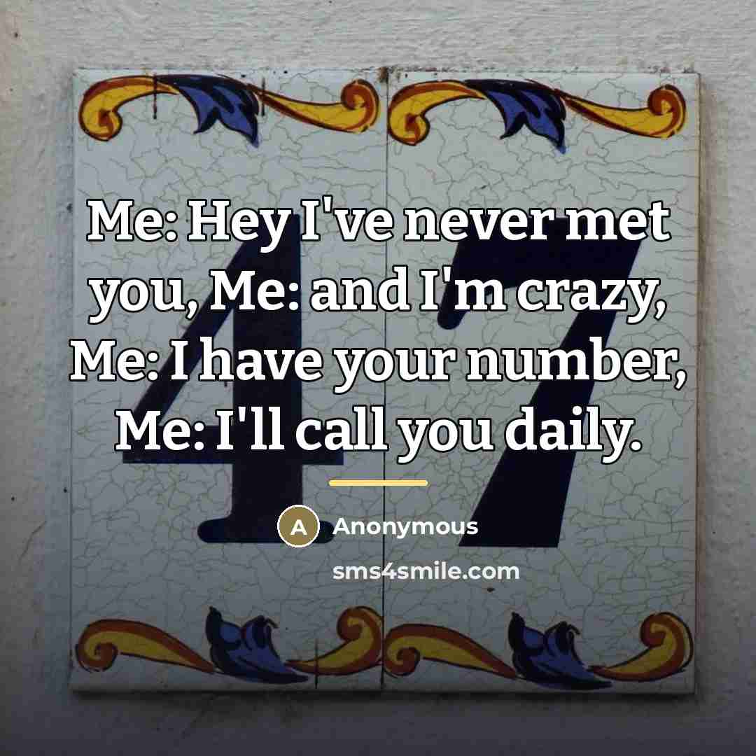“Me: Hey I've never met you, Me: and I'm crazy,…” quote by Anonymous