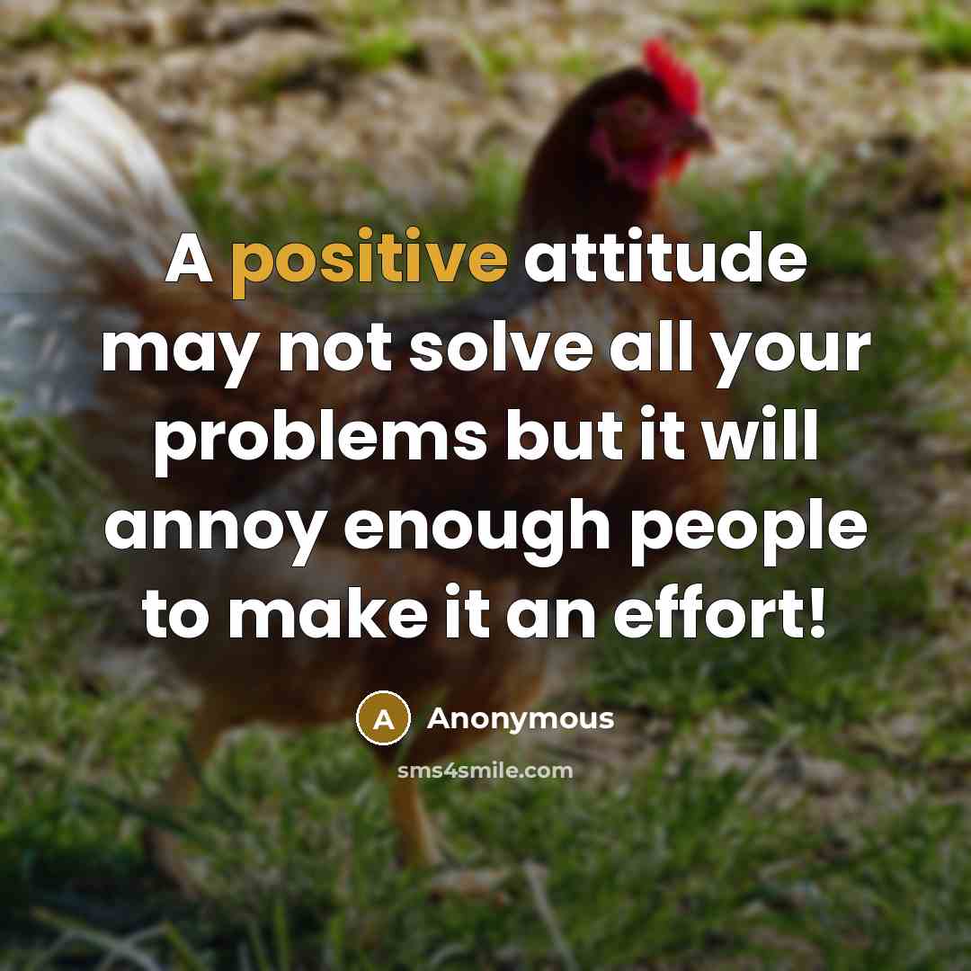 “A positive attitude may not solve all your problems but it will annoy enough people to make it an effort!” quote by Anonymous