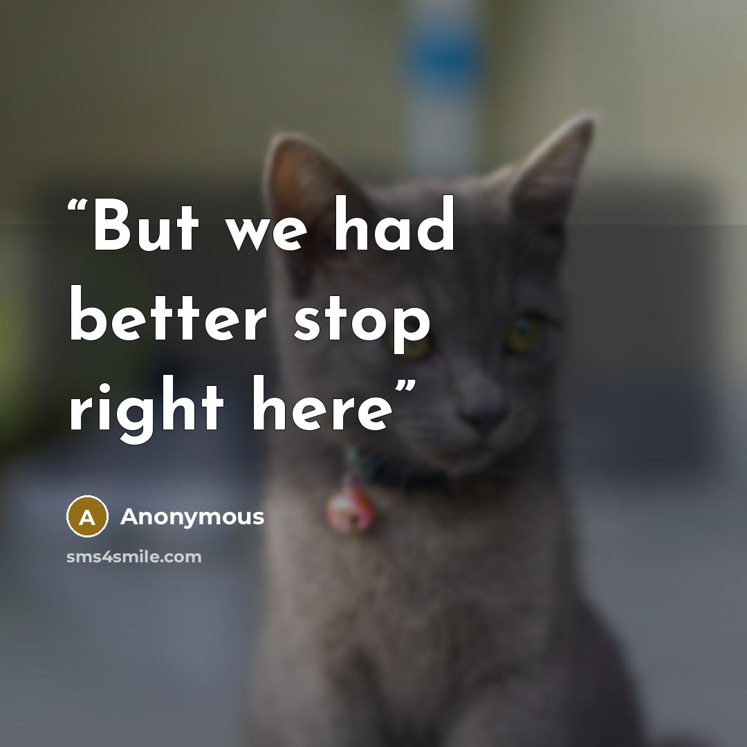 “But we had better stop right here” quote by Anonymous