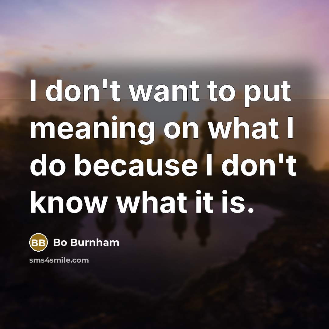 “I don't want to put meaning on what I do…” quote by Bo Burnham