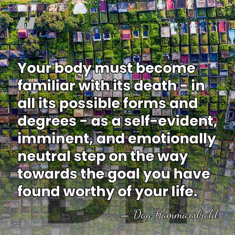 Your body must become familiar with its death - in all its&hellip; - Dag Hammarskjold