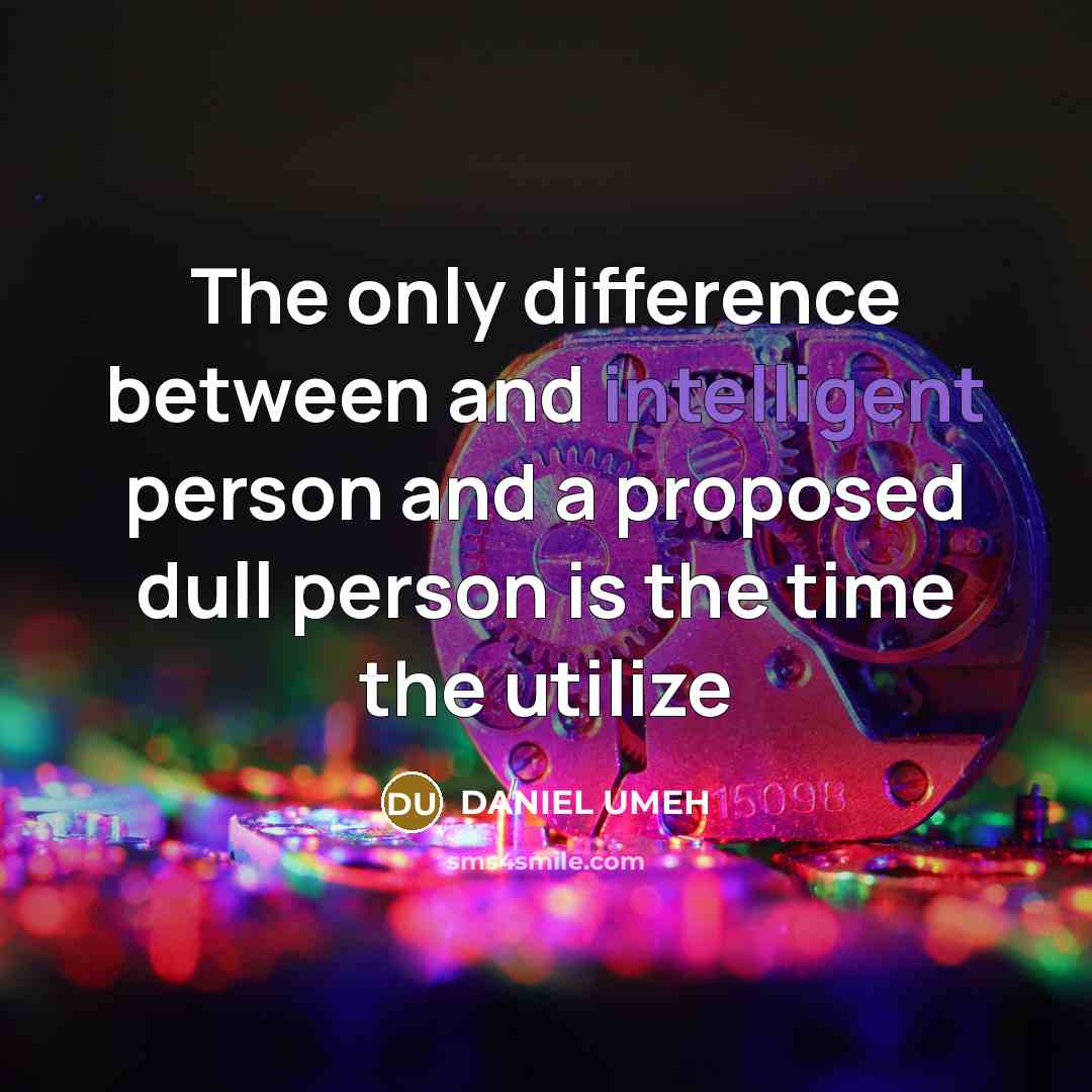 “The only difference between and intelligent person and a proposed…” quote by DANIEL UMEH