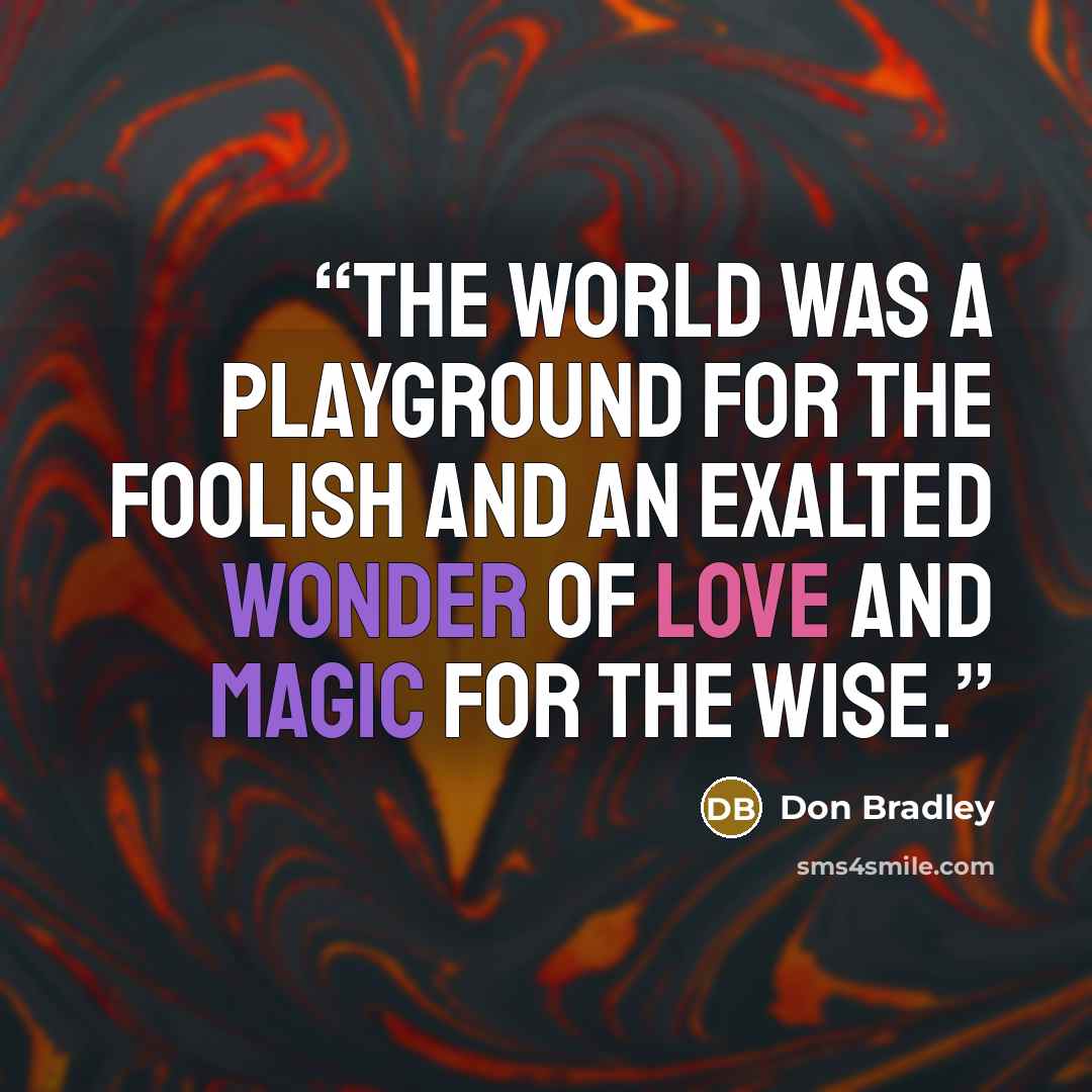 “The world was a playground for the foolish and an exalted wonder of love and magic for the wise.” quote by Don Bradley