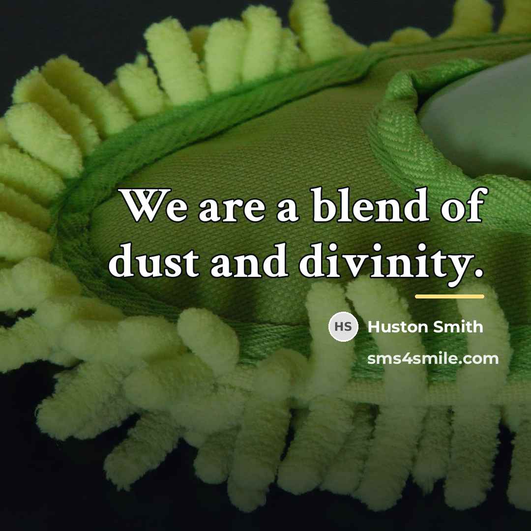 “We are a blend of dust and divinity.…” quote by Huston Smith