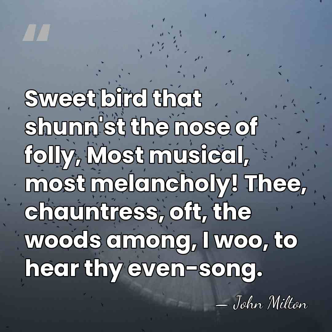 Sweet bird that shunn'st the nose of folly, Most musical, most melancholy!&hellip; - John Milton