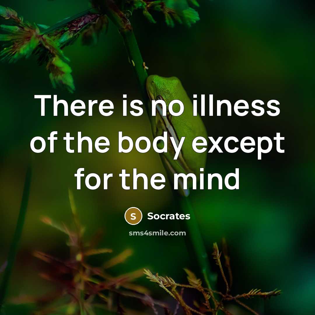 “There is no illness of the body except for the…” quote by Socrates
