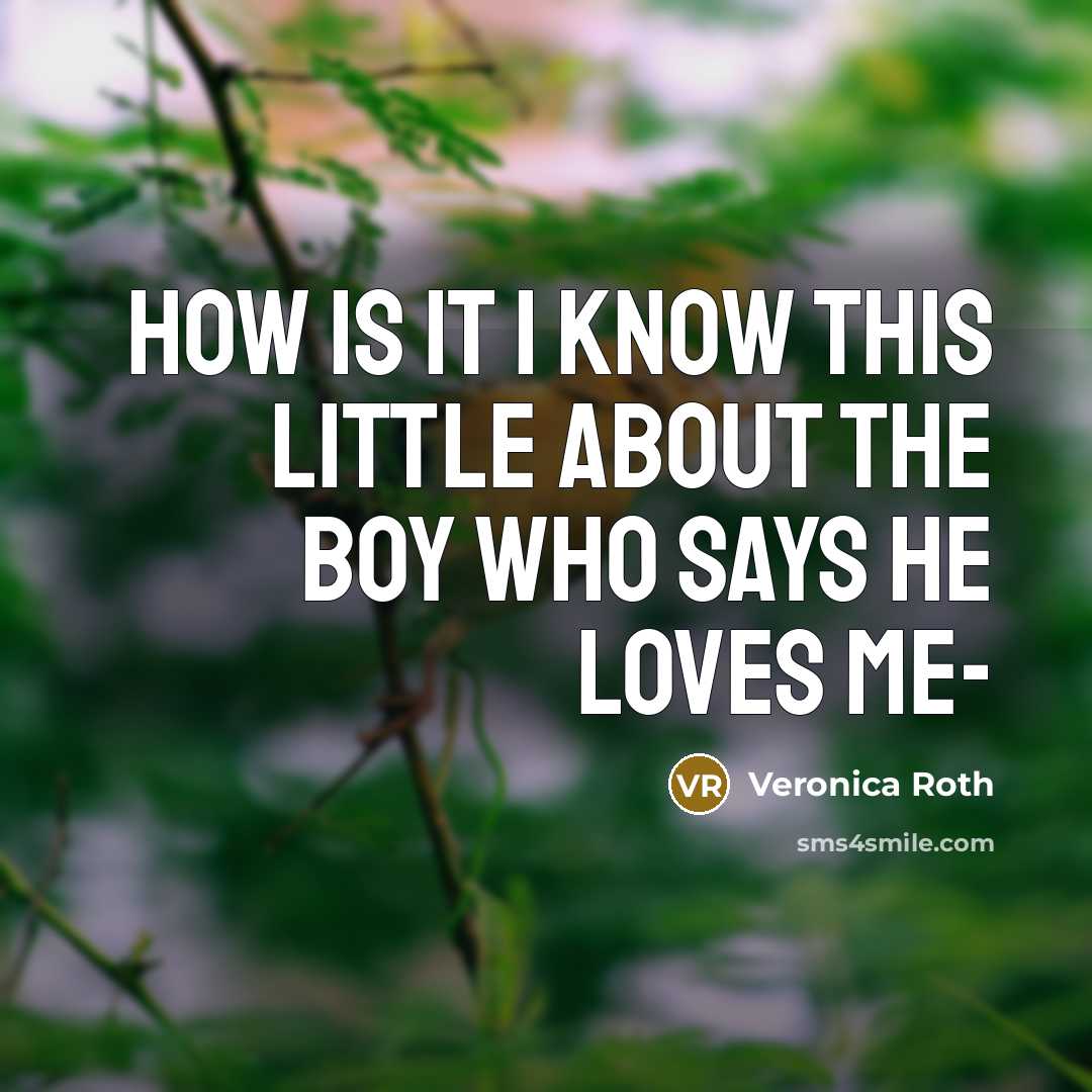 “How is it I know this little about the boy…” quote by Veronica Roth