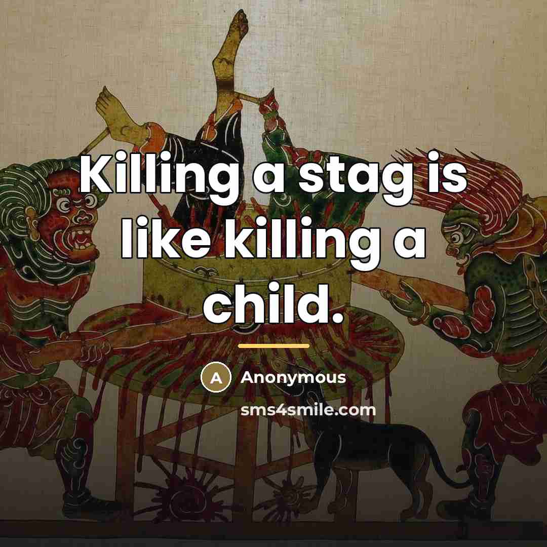“Killing a stag is like killing a child.…” quote by Anonymous