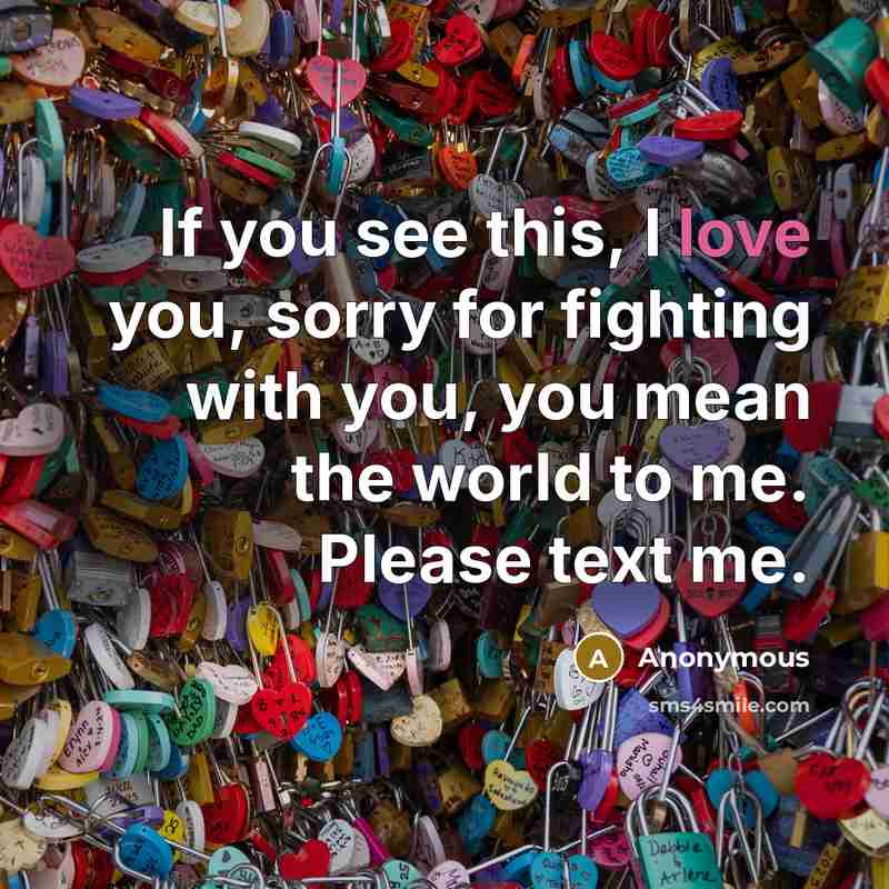 “If you see this, I love you, sorry for fighting…” quote by Anonymous