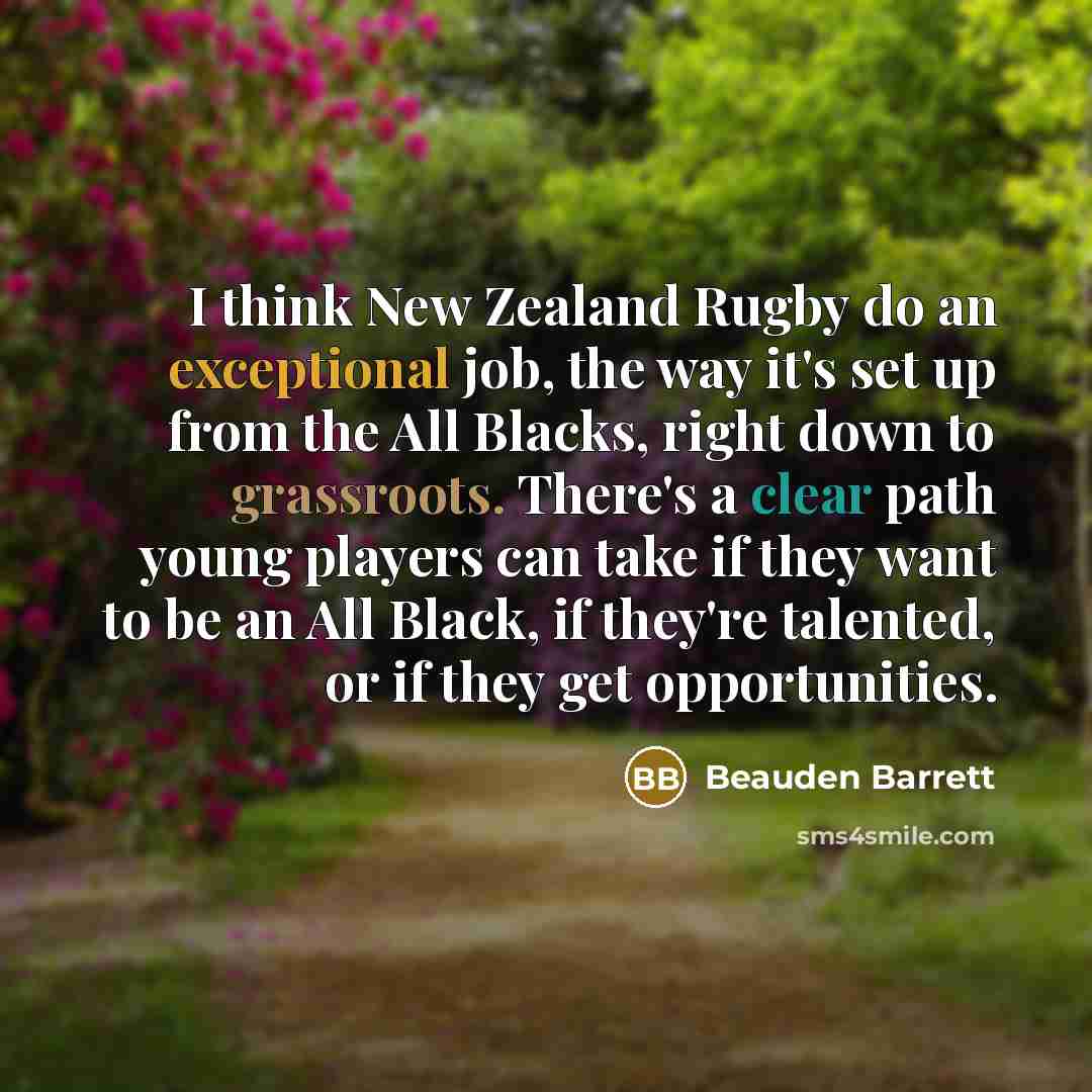 “I think New Zealand Rugby do an exceptional job, the…” quote by Beauden Barrett