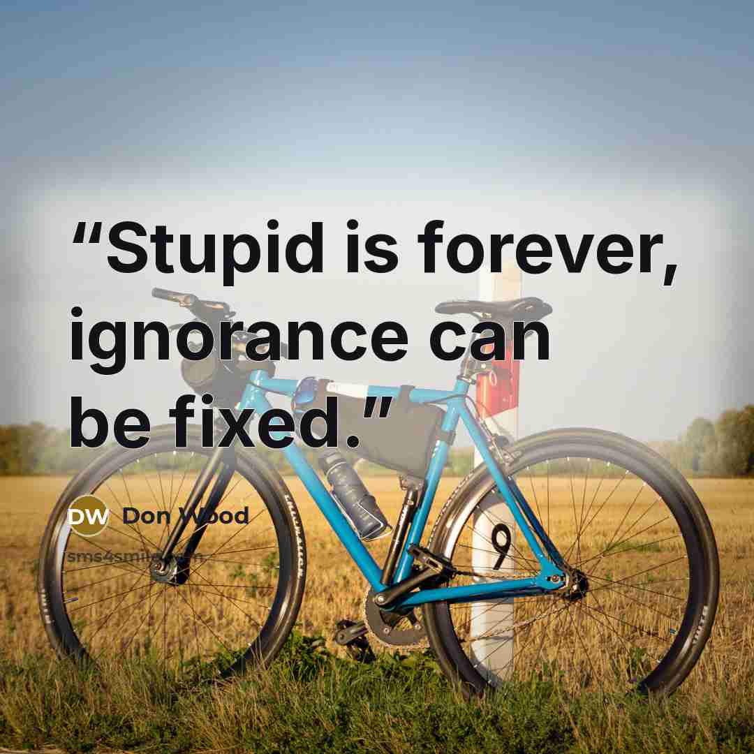“Stupid is forever, ignorance can be fixed.” quote by Don Wood