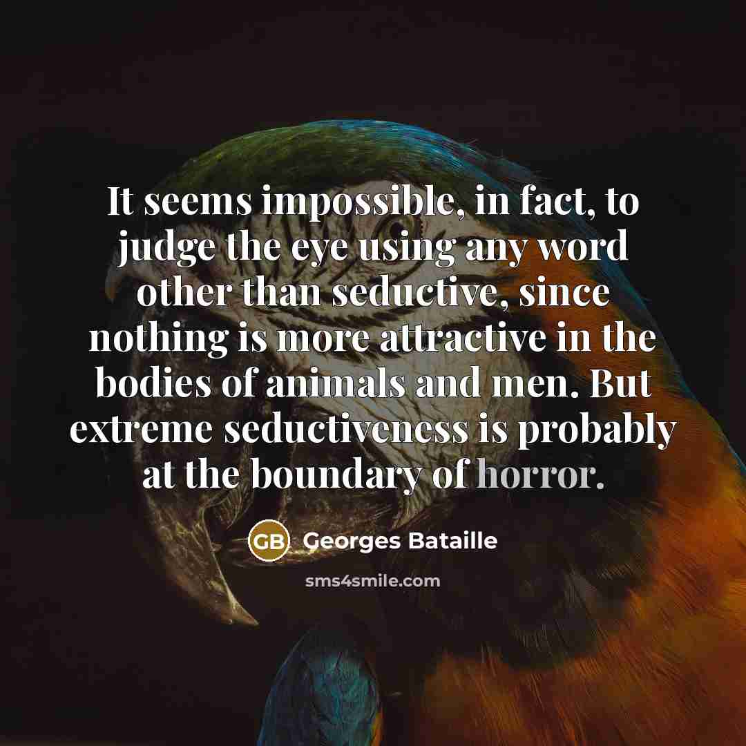“It seems impossible, in fact, to judge the eye using…” quote by Georges Bataille