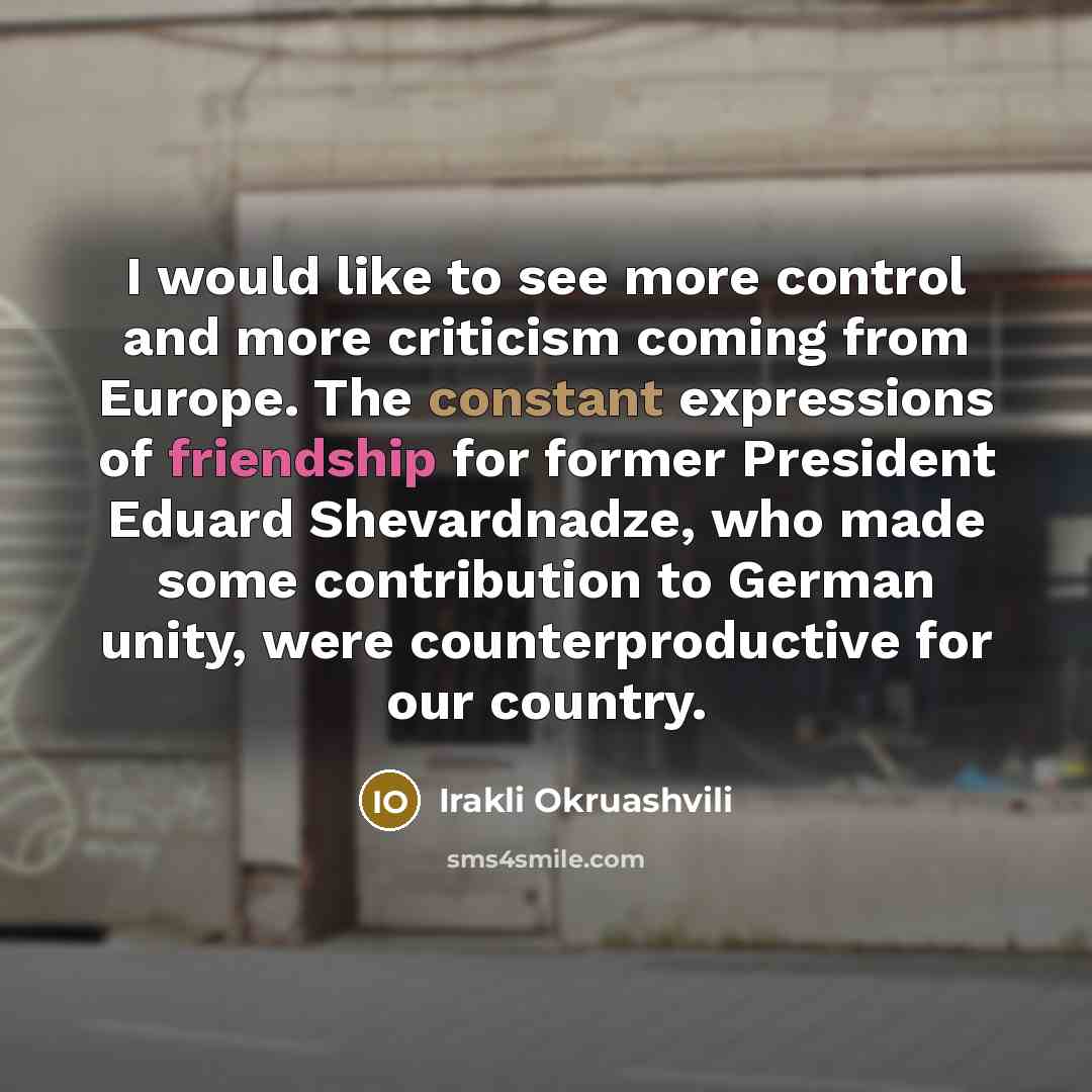 “I would like to see more control and more criticism…” quote by Irakli Okruashvili