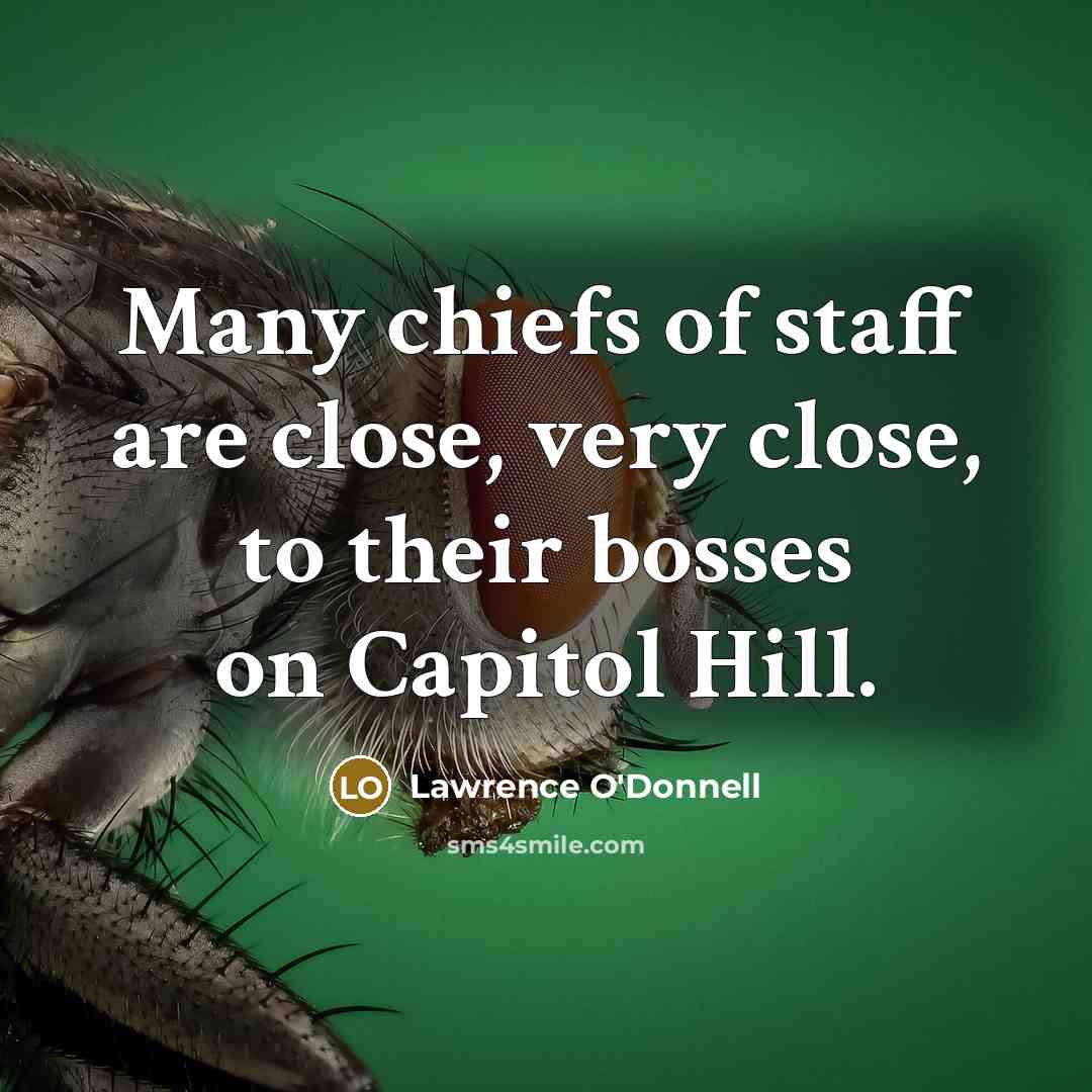 “Many chiefs of staff are close, very close, to their…” quote by Lawrence O'Donnell