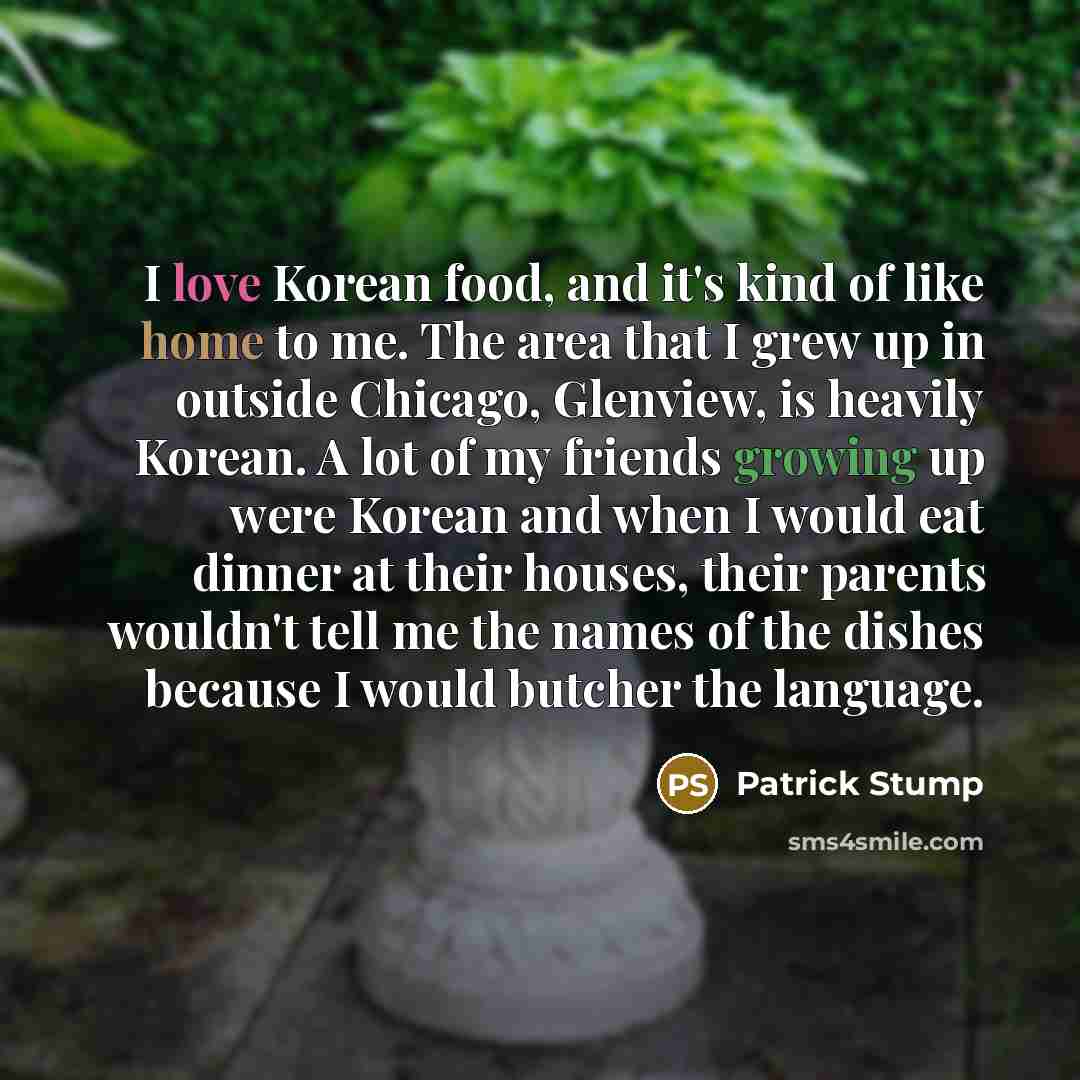 “I love Korean food, and it's kind of like home…” quote by Patrick Stump