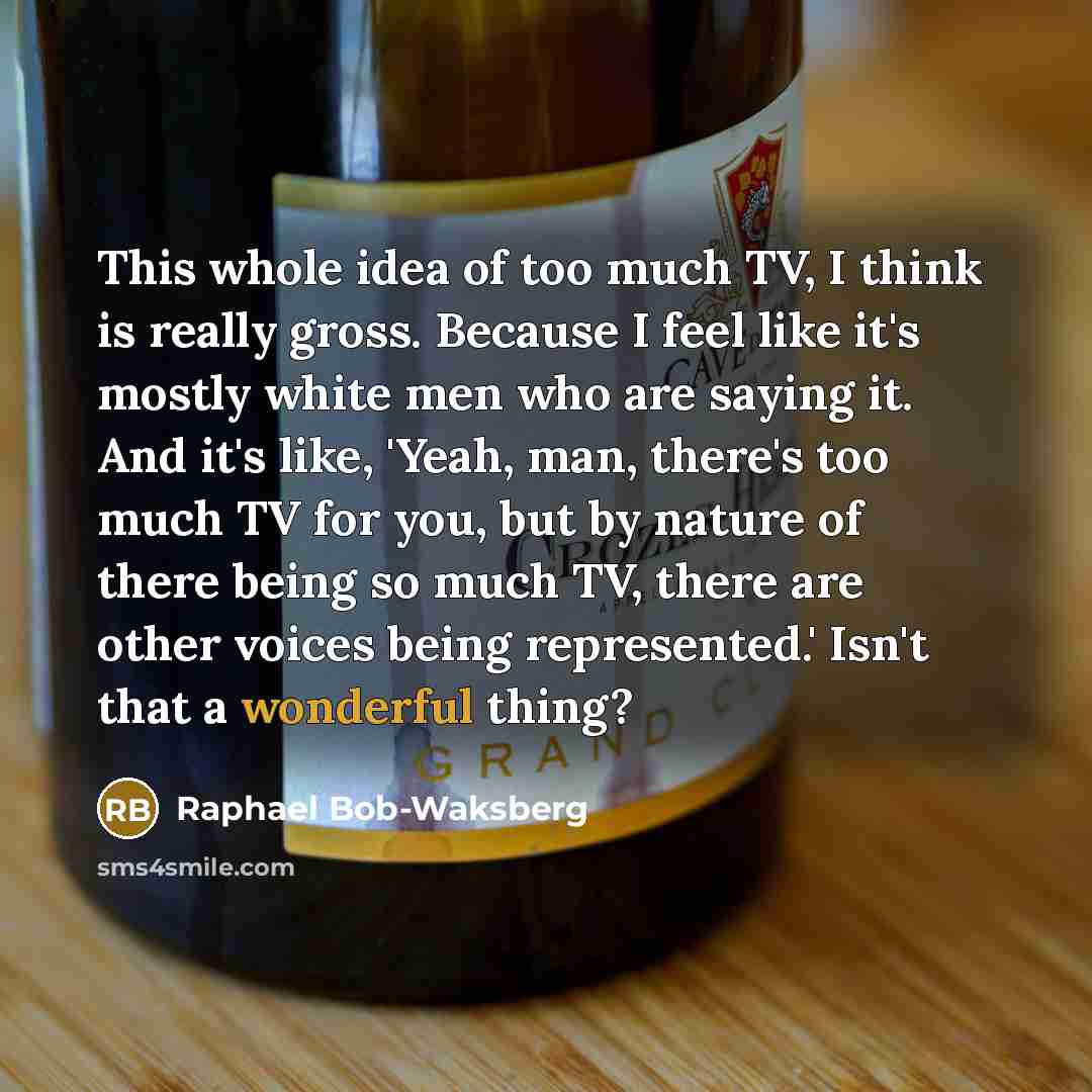 “This whole idea of too much TV, I think is really gross. Because I feel like it's mostly white men who are saying it. And it's like, 'Yeah, man, there's too much TV for you, but by nature of there being so much TV, there are other voices being represented.' Isn't that a wonderful thing?” quote by Raphael Bob-Waksberg