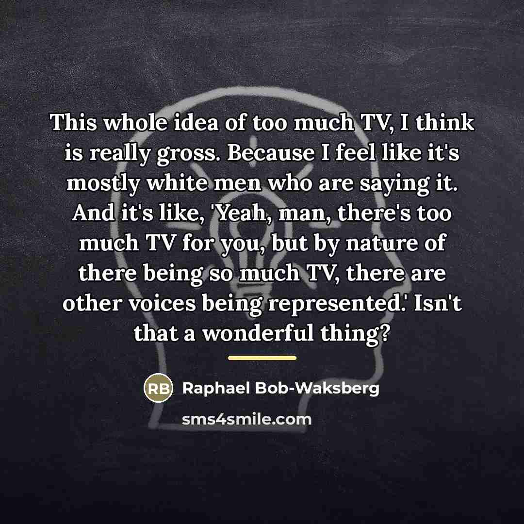 “This whole idea of too much TV, I think is…” quote by Raphael Bob-Waksberg