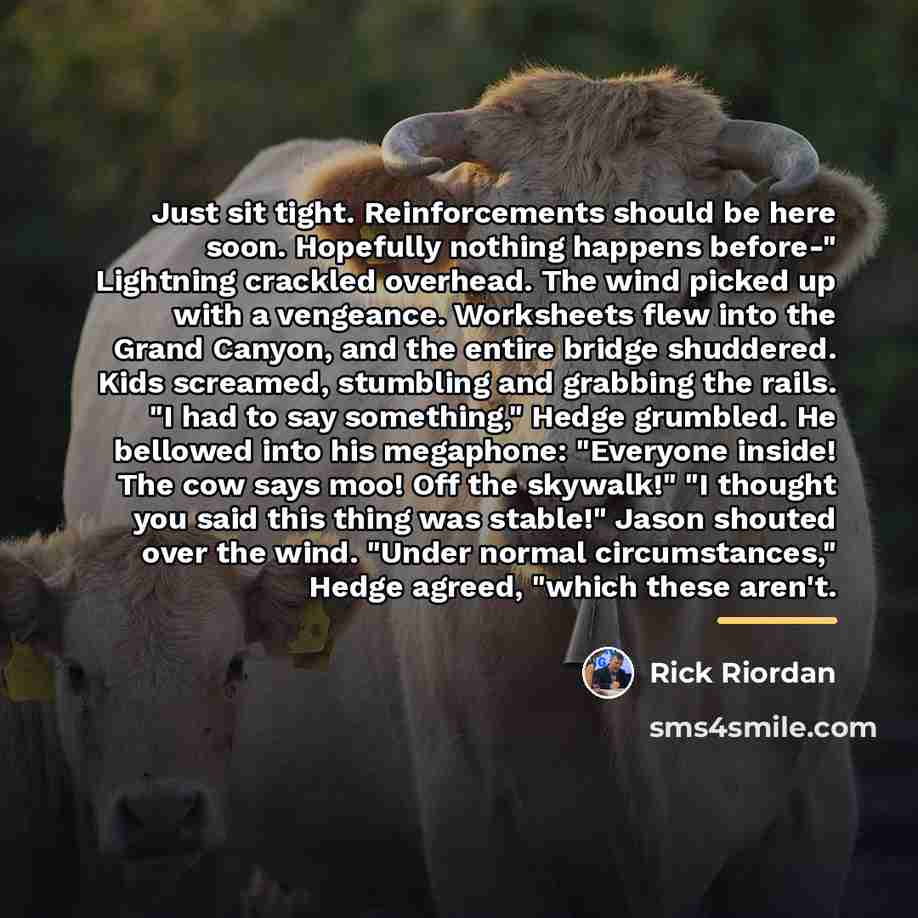 “Just sit tight. Reinforcements should be here soon. Hopefully nothing…” quote by Rick Riordan