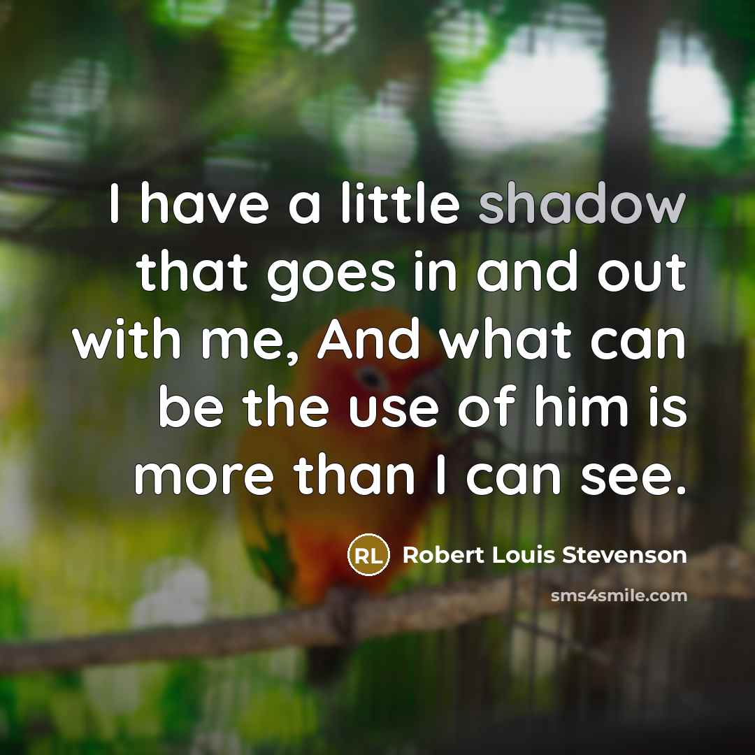 “I have a little shadow that goes in and out…” quote by Robert Louis Stevenson