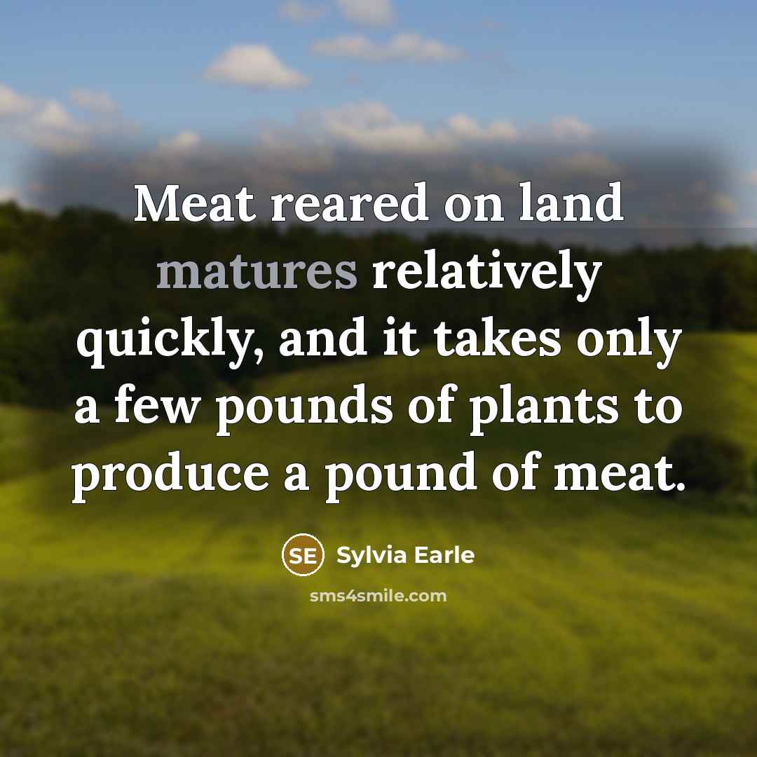 “Meat reared on land matures relatively quickly, and it takes only a few pounds of plants to produce a pound of meat.” quote by Sylvia Earle