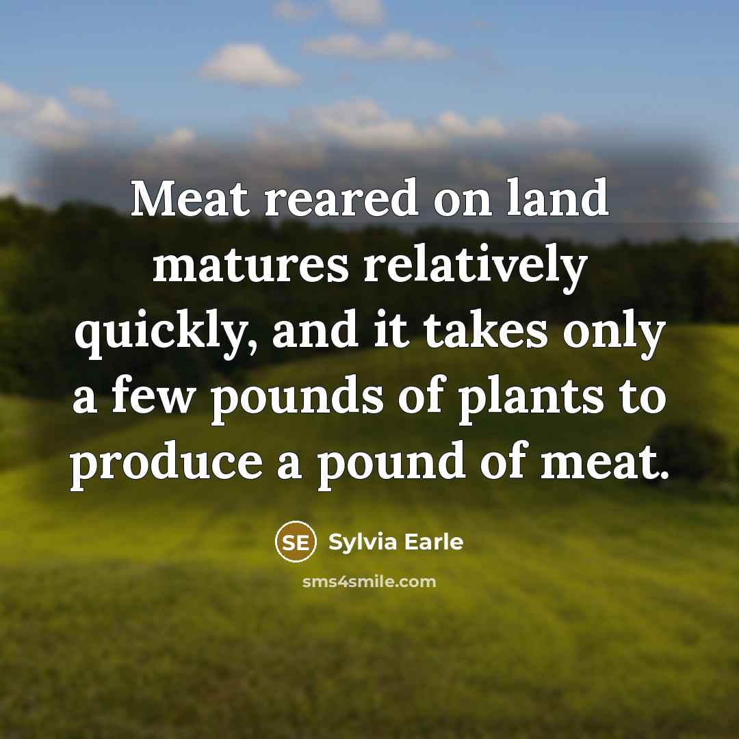 “Meat reared on land matures relatively quickly, and it takes…” quote by Sylvia Earle