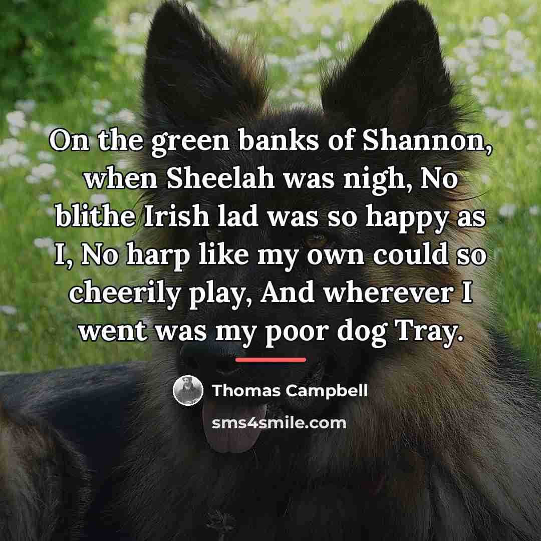 “On the green banks of Shannon, when Sheelah was nigh,…” quote by Thomas Campbell