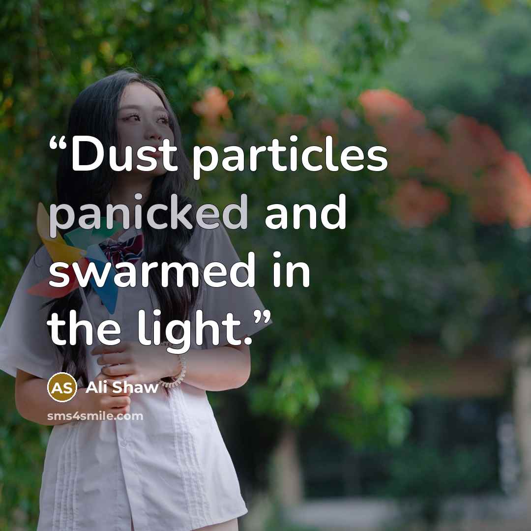 “Dust particles panicked and swarmed in the light.” quote by Ali Shaw