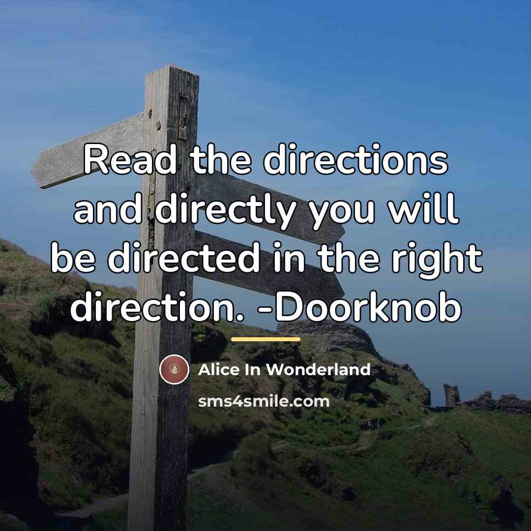 “Read the directions and directly you will be directed in…” quote by Alice In Wonderland