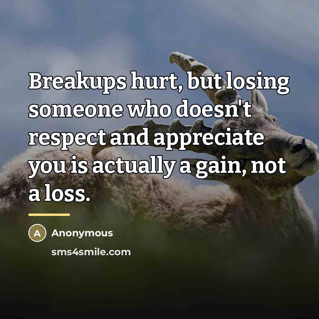 “Breakups hurt, but losing someone who doesn't respect and appreciate…” quote by Anonymous