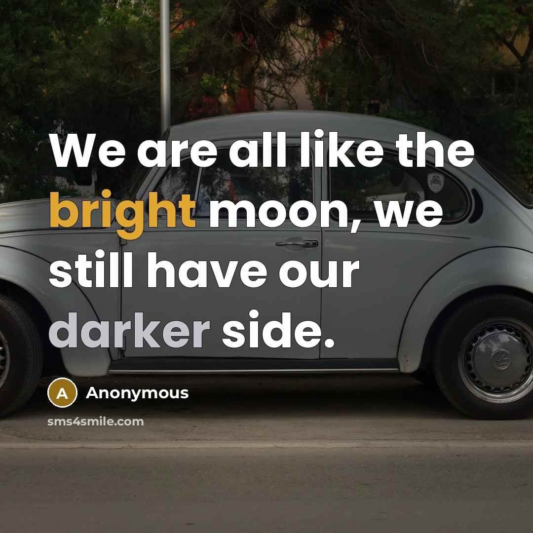 “We are all like the bright moon, we still have our darker side.” quote by Anonymous