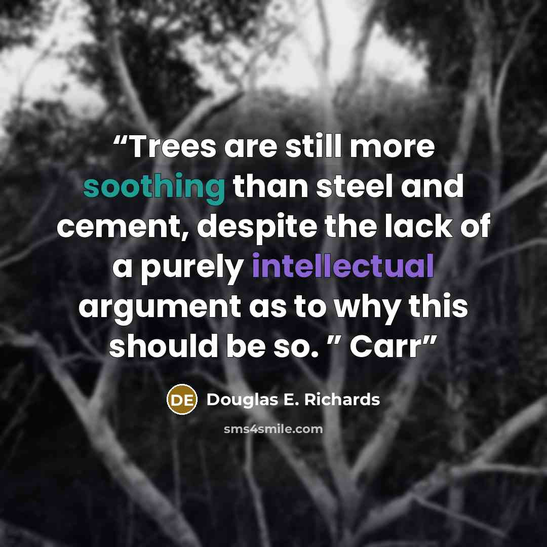 “Trees are still more soothing than steel and cement, despite the lack of a purely intellectual argument as to why this should be so. ” Carr” quote by Douglas E. Richards