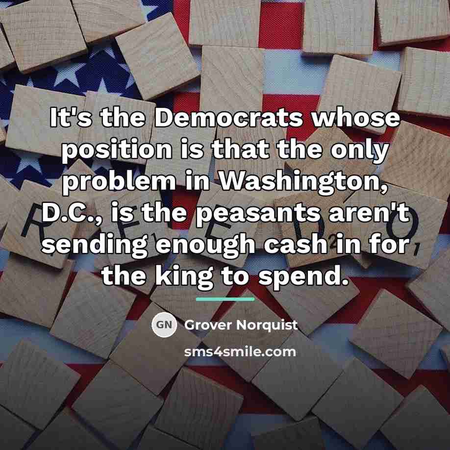 “It's the Democrats whose position is that the only problem…” quote by Grover Norquist