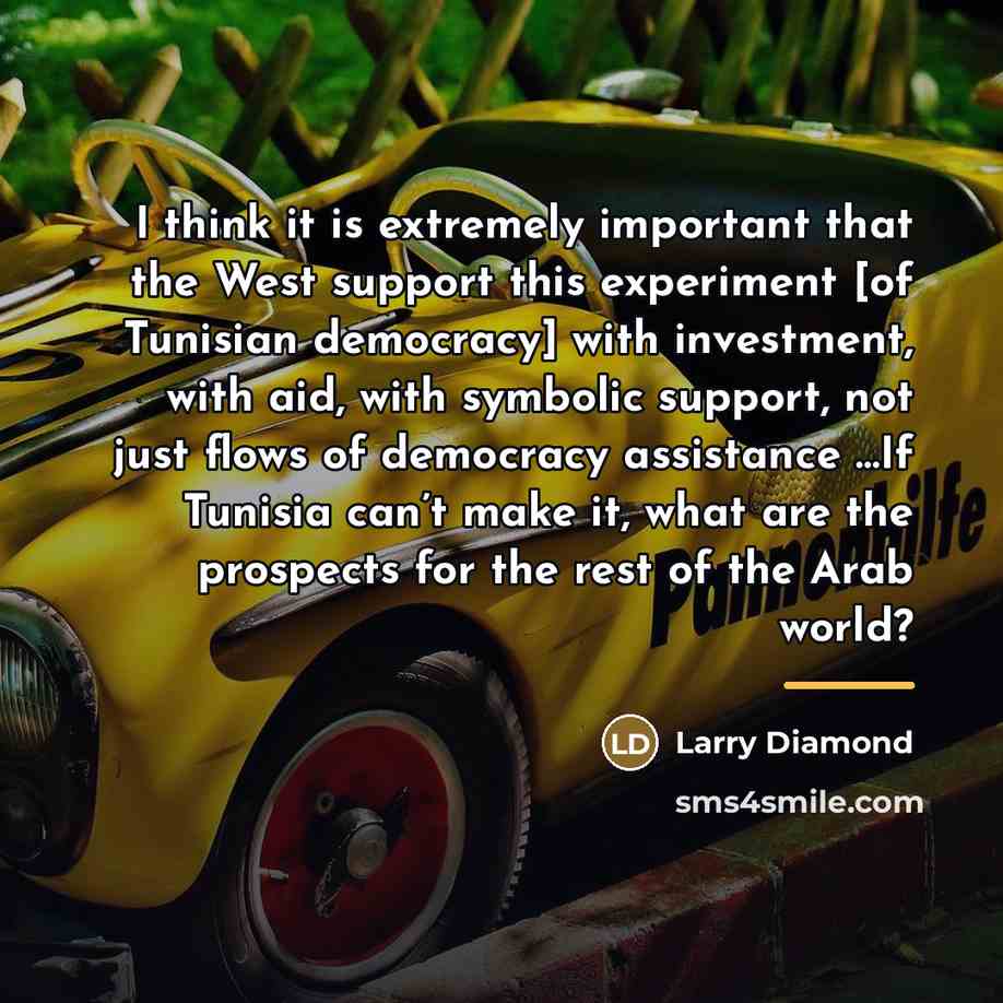 “I think it is extremely important that the West support…” quote by Larry Diamond