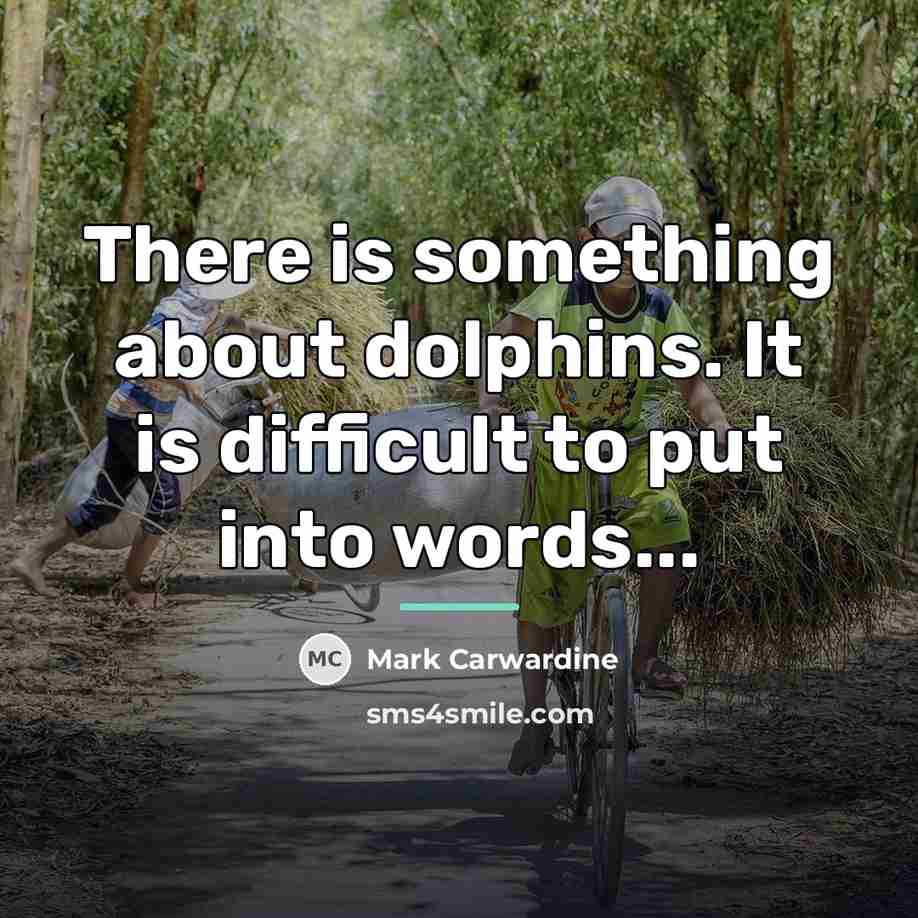 “There is something about dolphins. It is difficult to put…” quote by Mark Carwardine