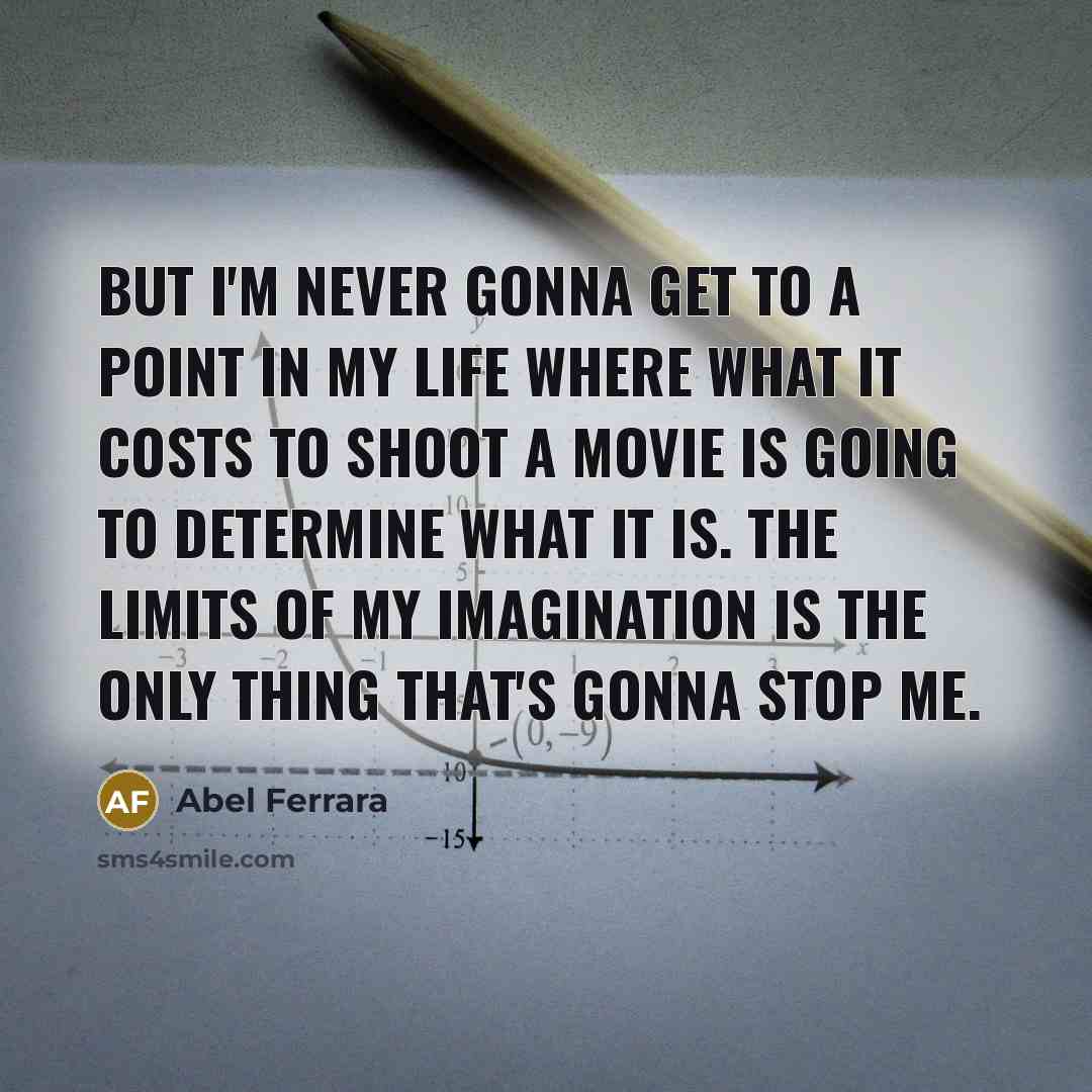 “But I'm never gonna get to a point in my…” quote by Abel Ferrara